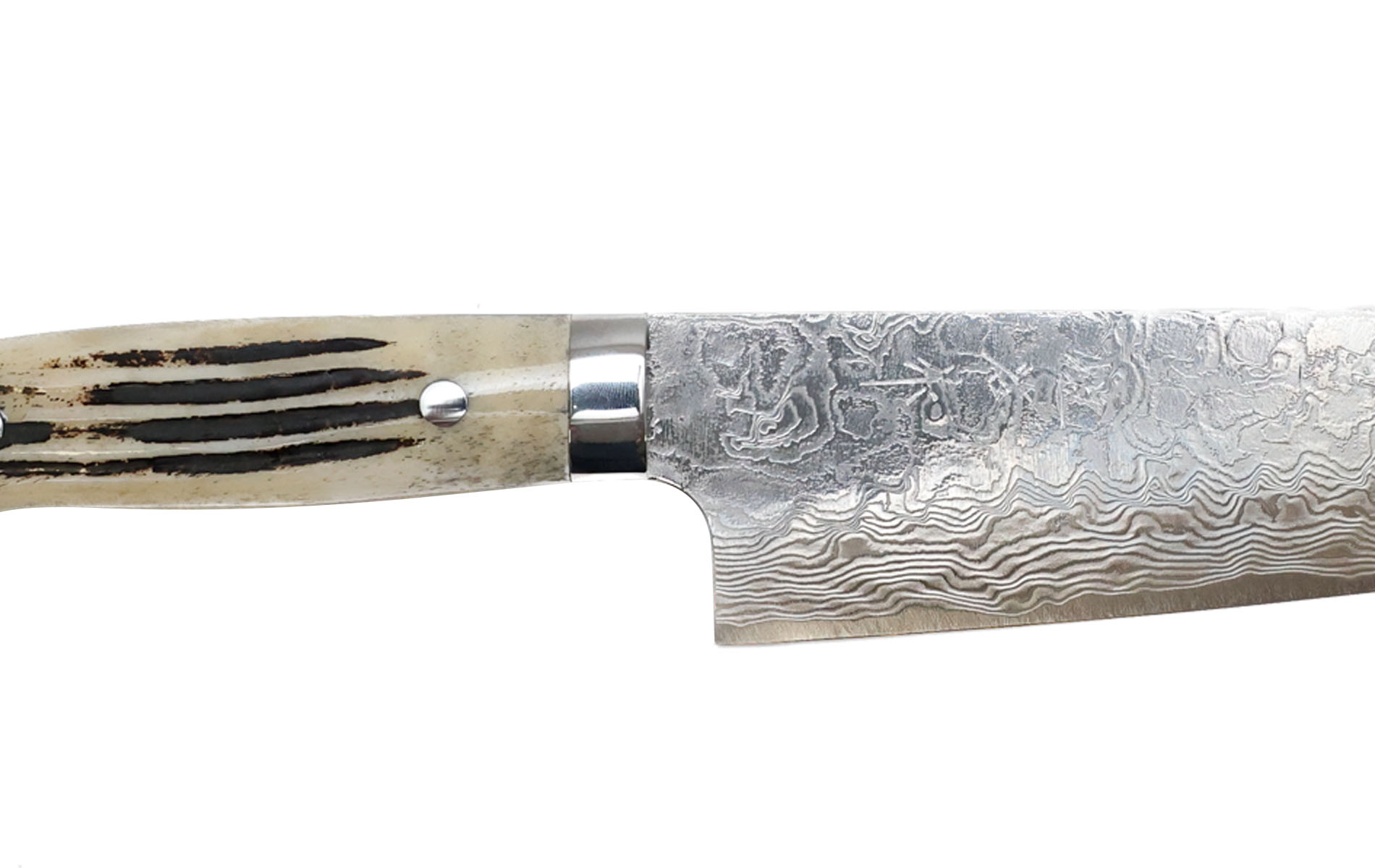 Couteau japonais artisanal SG-2 damas polish de Takeshi Saji - Couteau gyuto 24 cm