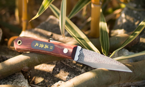 Couteau de jardin japonais