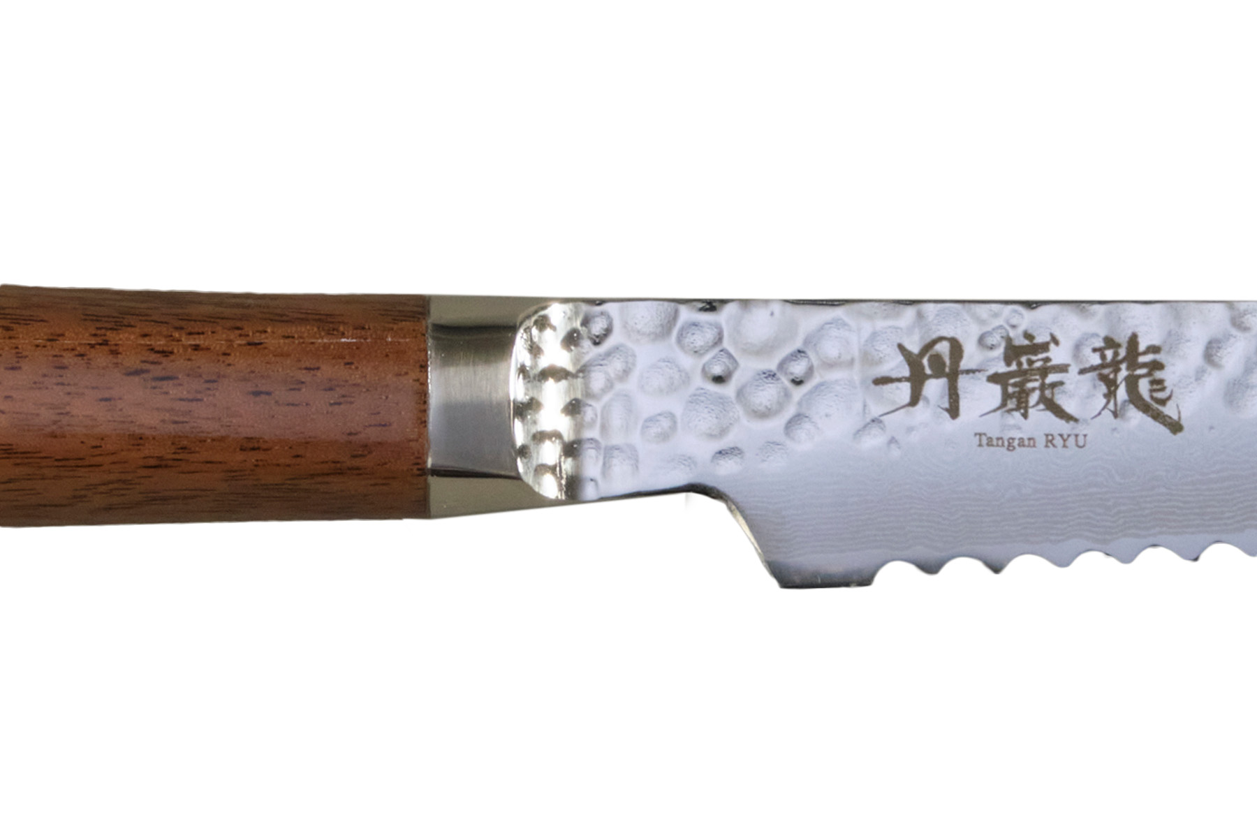 Couteau japonais Ryusen Tangan Ryu noyer - Couteau à pain 21 cm