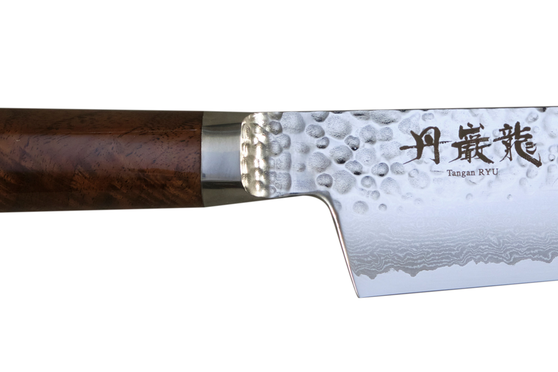 Couteau japonais Ryusen Tangan Ryu noyer - Couteau gyuto 24 cm